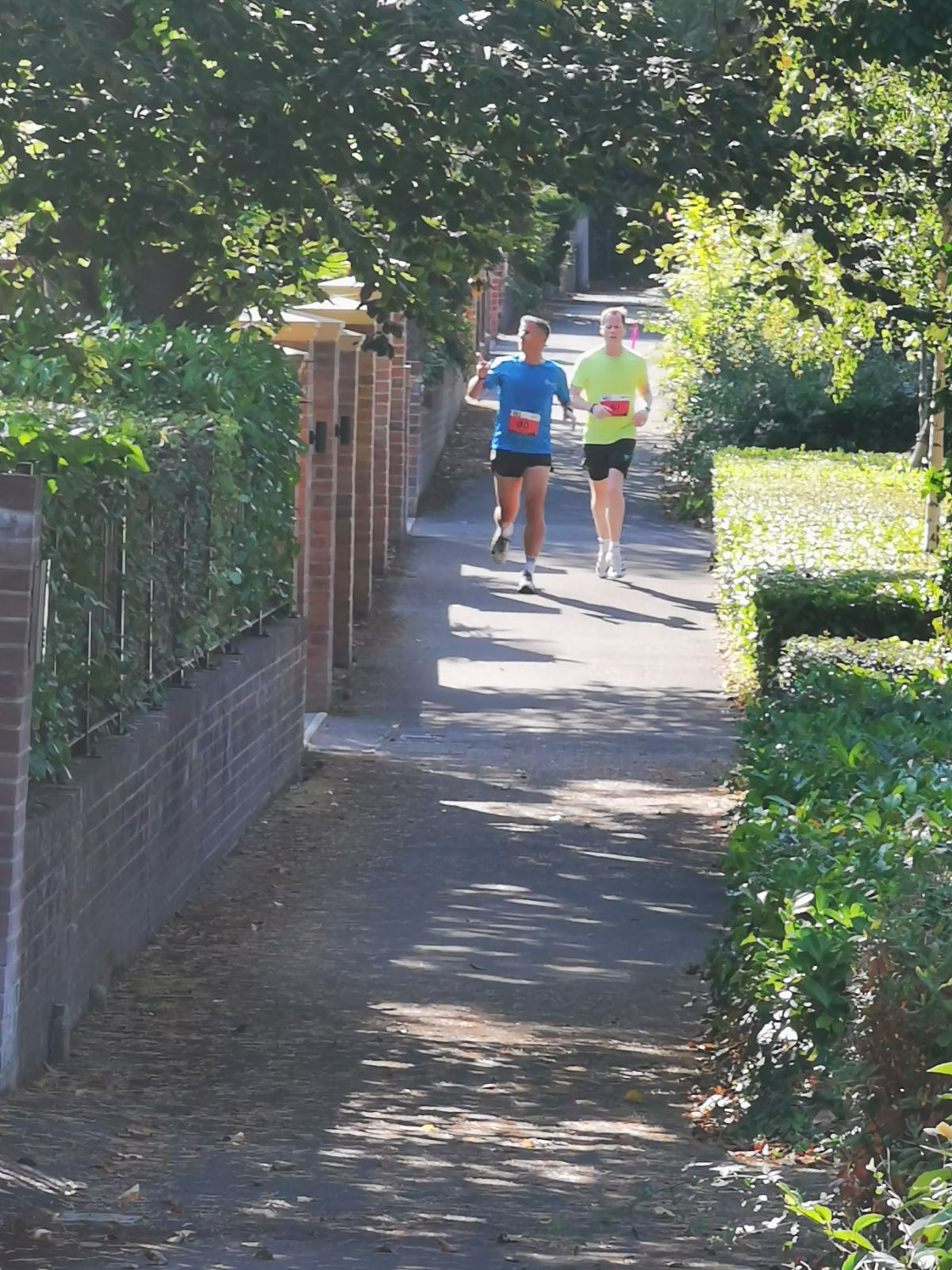 Two runners on a shaded leafy lane between gardens