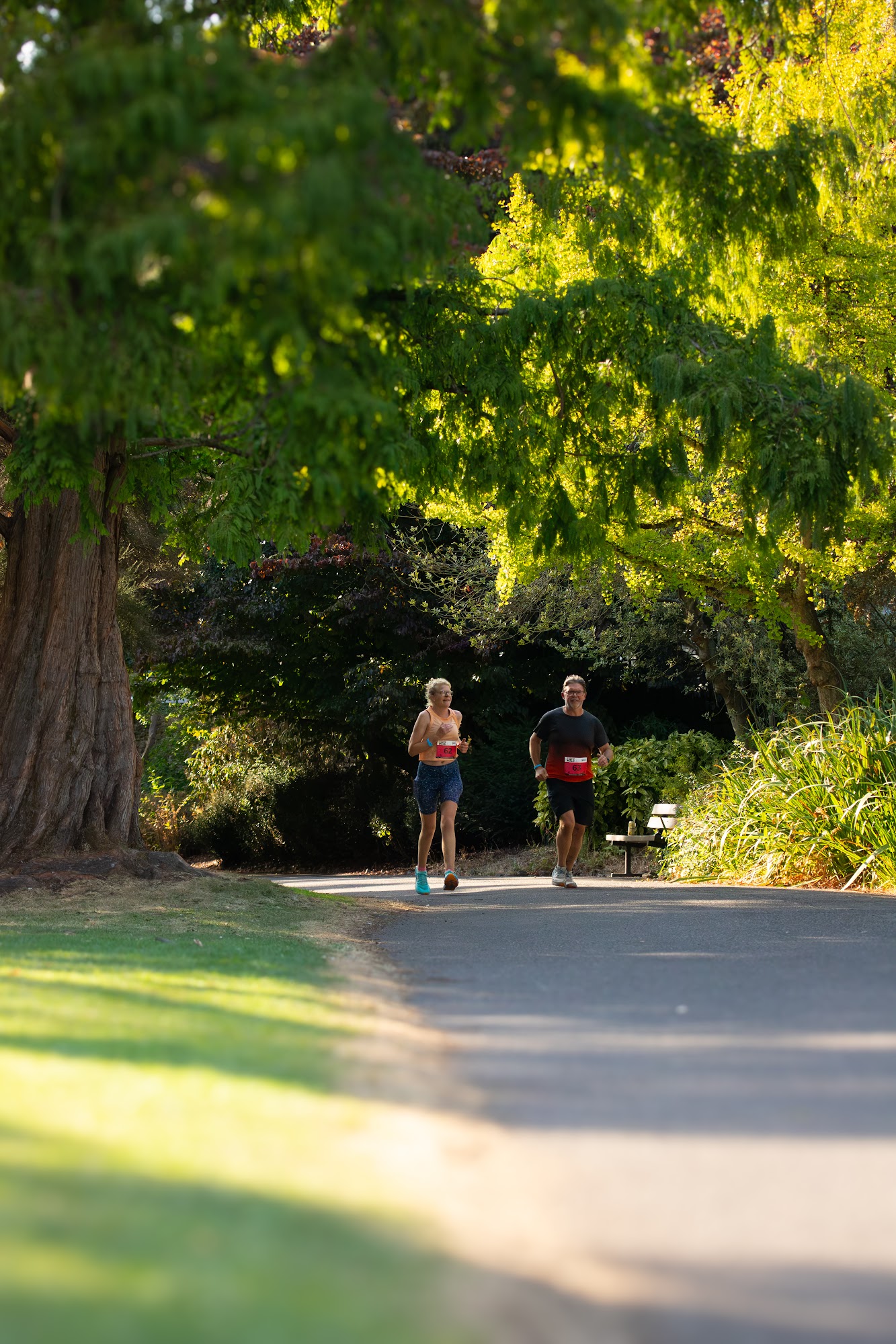 Runners framed by a massive tree trunk on the shaded trail — Jess Photography