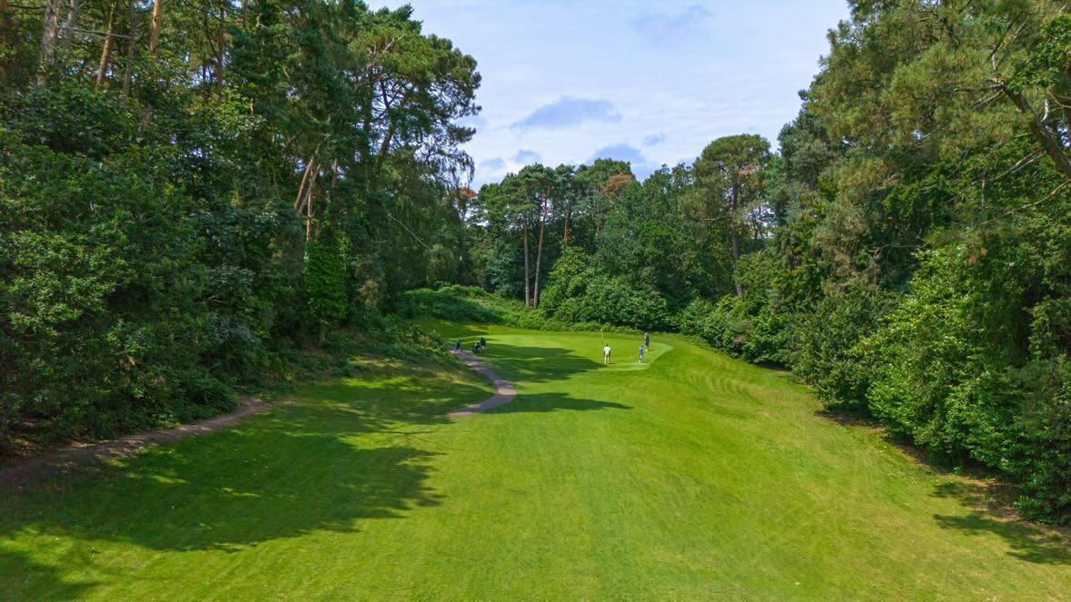 Fairway lined with towering pines in Meyrick Park, Bournemouth