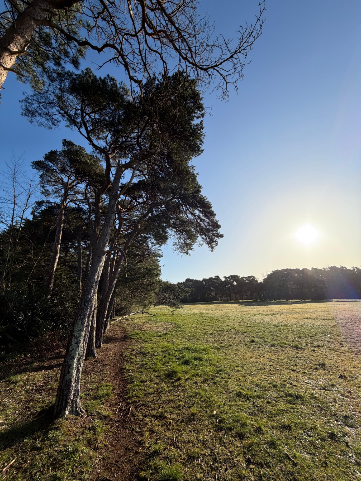 Meyrick Park pines and parkland — Bournemouth trail running
